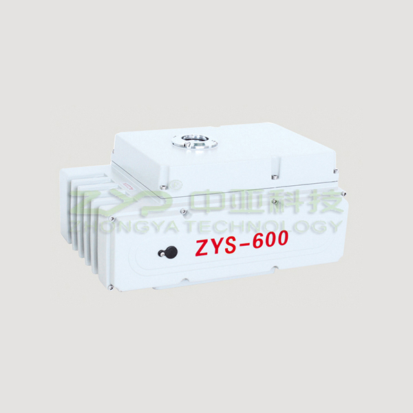 ZYS-600